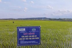 'Hợp vốn, hợp sức'