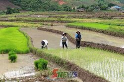 Phát huy vai trò hạt nhân lãnh đạo phát triển kinh tế