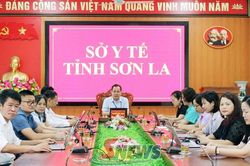 Góp ý hoàn thiện Đề án Kiểm soát mất cân bằng giới tính khi sinh giai đoạn 2026-2035
