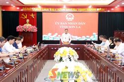 Tháo gỡ vướng mắc Dự án Nhà máy chế biến hoa quả Solas