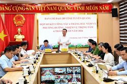 Ban Chỉ đạo 389 tỉnh triển khai nhiệm vụ 6 tháng cuối năm 2026