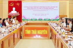 Th&aacute;i Nguy&ecirc;n tiếp nhận 331 hồ sơ theo cơ chế 'Luồng xanh'