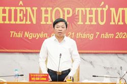 Thường trực HĐND tỉnh Thái Nguyên cho ý kiến vào nhiều nội dung công tác
