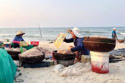 Lộc biển