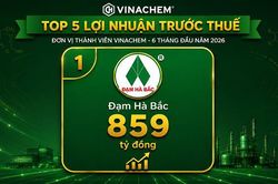 Đạm Hà Bắc bứt phá trong sản xuất kinh doanh