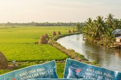 T&agrave;i sản tr&iacute; tuệ gắn với an to&agrave;n thực phẩm: L&aacute; chắn ph&aacute;p l&yacute; n&acirc;ng tầm n&ocirc;ng sản HTX
