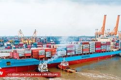 Thủy sản hướng tới mục tiêu 12 tỷ USD: Kỳ vọng tăng trưởng nửa cuối năm 2026