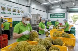 Doanh nghiệp nông nghiệp cần thêm động lực từ vốn và chính sách