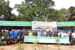 Động lực thúc đẩy tăng trưởng xanh và phát triển bền vững tại Đà Nẵng