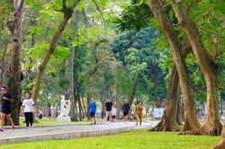 Công viên Thống Nhất: Mảng xanh điều hòa giữa lòng Thủ đô