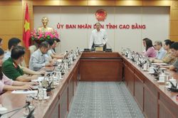 Cho ý kiến đối với 14 dự thảo nghị quyết, báo cáo trình Kỳ họp thứ 5 (chuyên đề) HĐND tỉnh