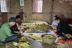 Sản lượng thuốc lá nguyên liệu xã Nam Tuấn ước đạt gần 3.400 tấn