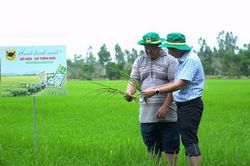Làm giàu nhờ đổi mới tư duy trên vùng đất phèn