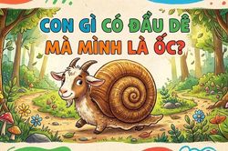 Con gì có đầu dê mà mình là ốc?