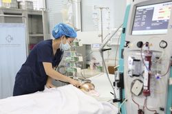 Bé trai 15 tháng tuổi nguy kịch sau khi bị ong vò vẽ đốt 60 nốt
