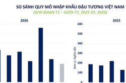 Cà phê, đậu tương tăng giá, MXV-Index tiến sát mốc 2.800 điểm