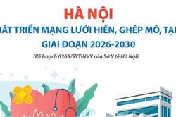 Hà Nội phát triển mạng lưới hiến, ghép mô, tạng giai đoạn 2026-2030