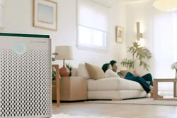 Mách bạn cách khử mùi thuốc lá trong phòng sạch bóng chỉ sau 5 phút