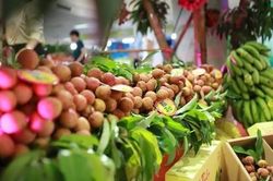 Việt Nam xuất khẩu 2 tỷ USD sang Trung Quốc trong 6 tháng đầu năm