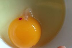 Lòng đỏ trứng xuất hiện đốm máu có ăn được không?