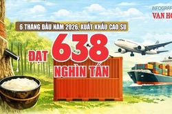 Xuất khẩu cao su 6 tháng đạt 1,22 tỉ USD, thị trường Trung Quốc dẫn đầu