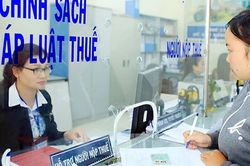 Thông đồng, bao che người nộp thuế nhằm ngăn cản cơ quan thuế xác minh thông tin bị phạt tới 100 triệu đồng