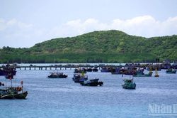 TP Hồ Chí Minh: Đề nghị hỗ trợ thay thế thiết bị giám sát hành trình cho tàu cá