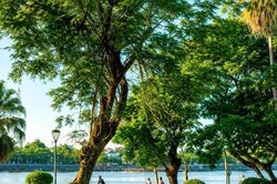 Nhịp sống cộng đồng 'nhẹ nhàng nhưng gần gũi' ở hai bờ sông Hương