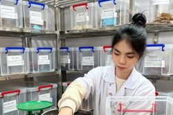 Rào cản khiến nghiên cứu từ trường đại học khó đi vào thực tiễn