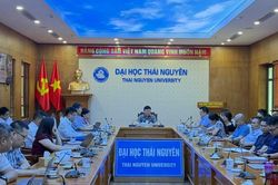 Khoa Quốc tế (ĐH Thái Nguyên) tăng tốc chuyển đổi số nâng cao chất lượng đào tạo