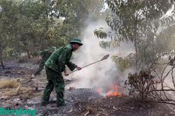 Đồn Biên phòng cửa khẩu cảng Chân Mây huy động lực lượng khống chế cháy rừng tại xã Chân Mây - Lăng Cô