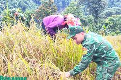 Đổi thay ở Mù Cả