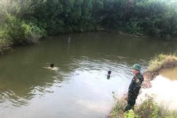Sau 4 ngày tìm kiếm, phát hiện thi thể người đàn ông dưới đầm lầy ở Nghệ An