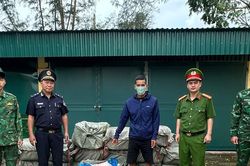 Dùng bè mảng vận chuyển 800kg nầm lợn đông lạnh