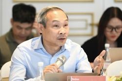 ĐBQH Phan Đức Hiếu: Muốn DNNN dẫn dắt tăng trưởng, phải bỏ tư duy t&aacute;i cơ cấu 'đếm số lượng'