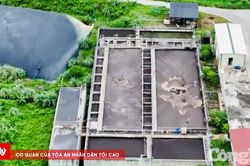 Kiểm tra toàn diện 582 trang trại chăn nuôi lợn ở Thanh Hóa