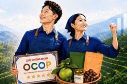 Đồng h&agrave;nh c&ugrave;ng kh&aacute;ch h&agrave;ng OCOP ph&aacute;t triển sản xuất, n&acirc;ng tầm gi&aacute; trị n&ocirc;ng sản Việt