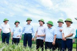 Chủ tịch UBND tỉnh Nghệ An kiểm tra sản xuất nông nghiệp, vùng nguyên liệu và công tác phòng cháy rừng