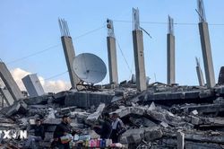 Israel xây dựng 'rào chắn' chia cắt Dải Gaza