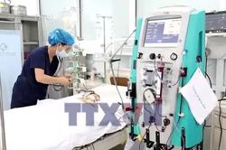 Cứu sống bé trai 15 tháng tuổi bị ong vò vẽ đốt nguy kịch