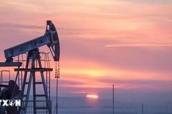 Giá dầu lên mức cao nhất trong 5 tuần do xung đột Mỹ-Iran
