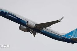 Vietnam Airlines thu&ecirc; th&ecirc;m 19 m&aacute;y bay Boeing 737 MAX 8, mở rộng mạng bay