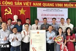 Nâng tầm thương hiệu cá chình bông Phú Yên