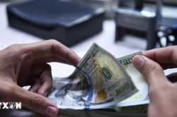 Kiều hối về Thành phố Hồ Chí Minh đạt hơn 4 tỷ USD sau nửa đầu năm