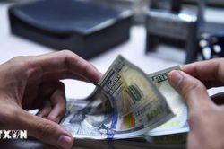 Kiều hối về Thành phố Hồ Chí Minh đạt hơn 4 tỷ USD sau nửa đầu năm