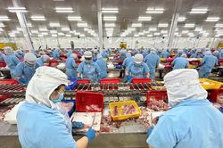 Đưa nông sản Việt vươn xa - Bài 1: Từng bước chinh phục các thị trường khó tính