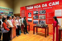 Giới thiệu hơn 400 tư liệu, hiện vật tại Triển lãm 'Da cam - Lương tri và Công lý'
