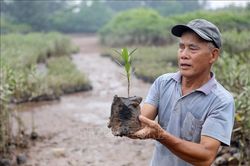Người thương binh hơn 40 năm gieo màu xanh nơi đầu sóng