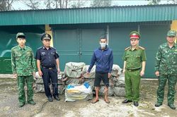 Thu giữ 800 kg nầm lợn đông lạnh không có hóa đơn