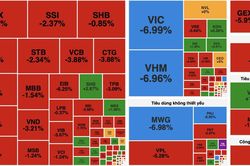 VN-Index mất mốc 1.700 điểm, nhiều nhóm ngành đồng loạt giảm sâu